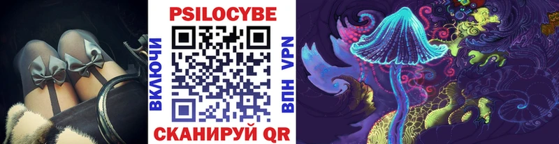 где купить наркоту  Шагонар  Псилоцибиновые грибы мухоморы 