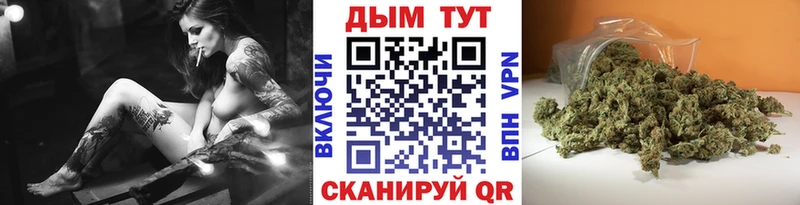 продажа наркотиков  Шагонар  Конопля марихуана 